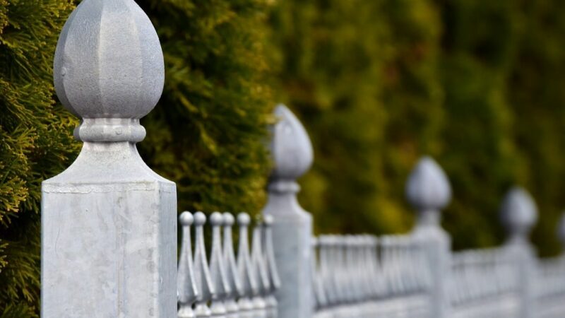 Quelles sont les clôtures les plus économiques ?
